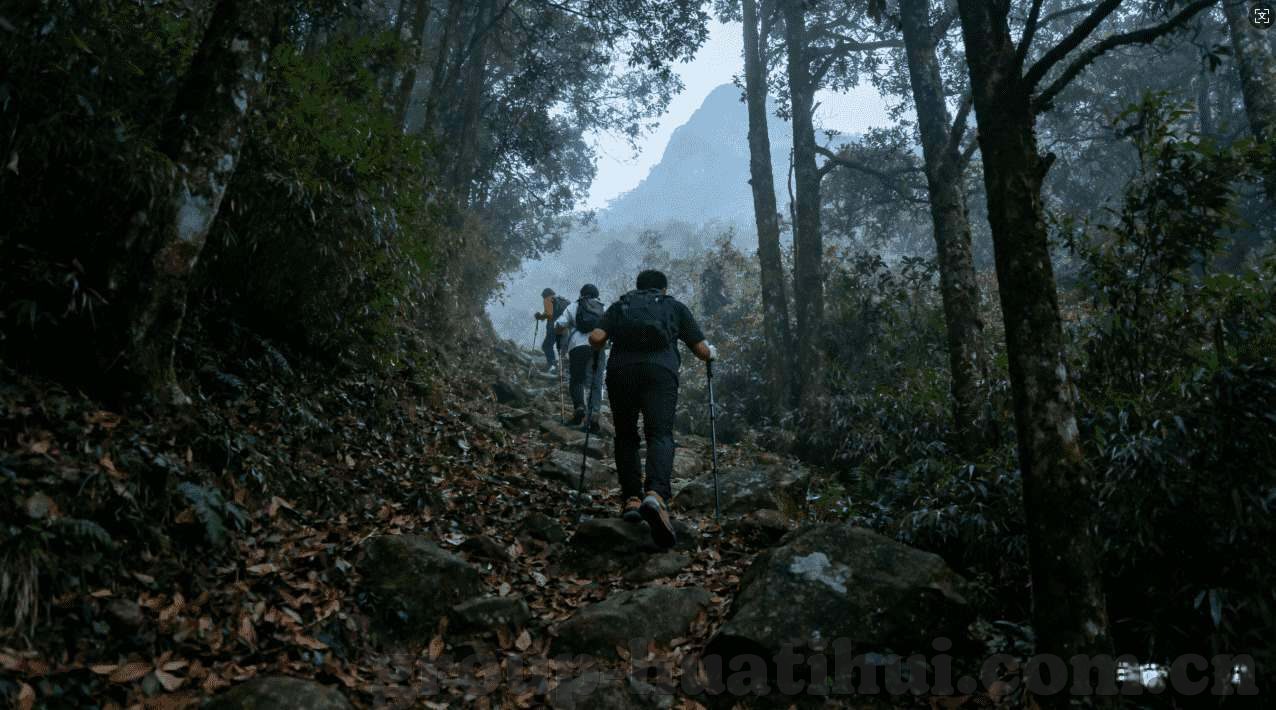 壹号娱乐平台下载-如何安全下载并使用壹号娱乐平台-壹号娱乐平台下载